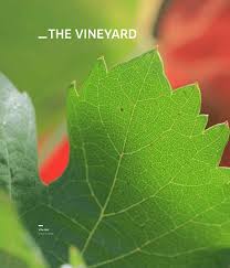 pdf anatomy of the vine origin