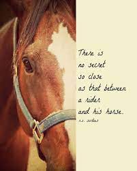 He wakes up in the morning like a sly. 9 Sea Biscuit Quotes Ideas Equestrian Quotes Horse Quotes Horse Love