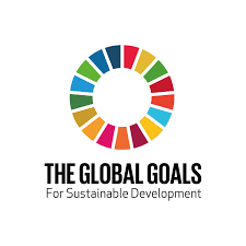Image result for sustainable development goals