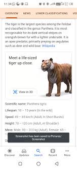 Explora photography tips and solutions how to view real 3d photos on a. Google 3d Tigers Google S Ar Animals You Can Get A 3d View Of Animals In Your Space With These Compatible Phones