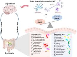 gut microbiota and its metabolites in