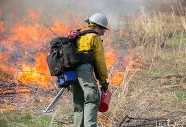 wildland fire types of jobs u s