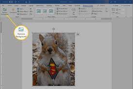 Convert your images from jpg to png online and for free, applying proper compression methods. How To Remove Image Fill Or Backgrounds In Microsoft Word