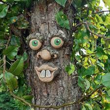 Funny Tree Face Hanging Garden