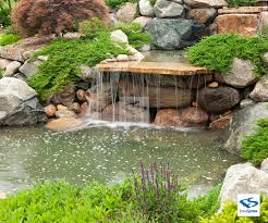 Image result for pond waterfall