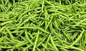 varieties of beans dozens of types
