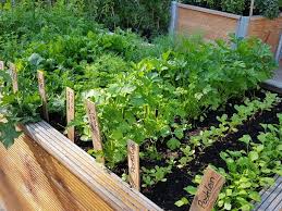 Should Raised Beds Be Covered In Winter