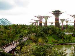 visit gardens by the bay singapore