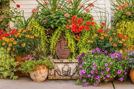 container gardens just right for the