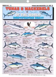 Tightline Publications Tunas Mackerel Chart Helps Identify Different Species At Www Outdoorshopping Com