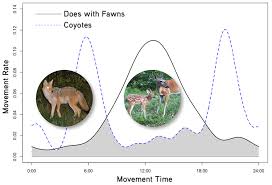 New Deer Knowledge From The Nations Largest Deer Research