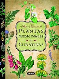 Para ungir o untar velas. Leer El Plantas Medicinales Y Curativas Atlas Ilustrado Pdf Online Gratis Brachyceratops S Blog