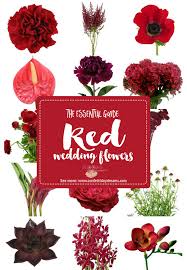 names and types of red wedding flowers