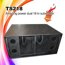 big power ts218 dual 18inch subwoofer