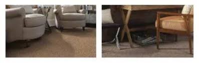 the advanes of loop and twist carpet