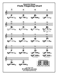 Band Instrument Fingering Chart Set