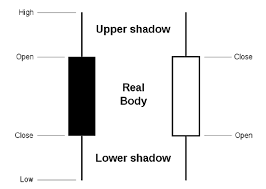 This Is How You Really Read Candlestick Charts My Trading