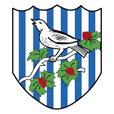 Download for free in png, svg, pdf formats. West Bromwich Albion Logo Png Transparent Brands Logos