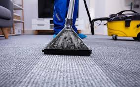 carpet cleaning french island wi