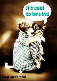 Not to hurt our humble brethren is our first duty to them, but to stop there is not enough. 9 Purrfect Kindness To Animals Quotes Illustrated Cat Wisdom 101 Everything Feline Since 2011