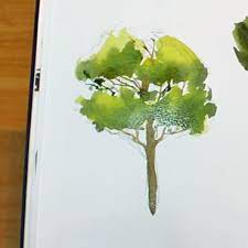 how to paint trees in watercolor