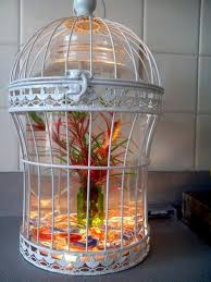 Bird Cage With Goldfish And One Neon