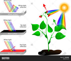 Colors Light Vector Photo Free Trial Bigstock