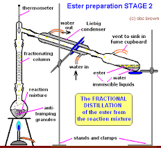 Making Esters Preparation Ethyl Ethanoate Procedure