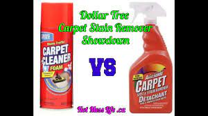 dollar tree carpet stain removers