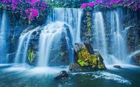 Waterfalls Exciting Live 图片For Mac ...
