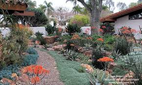 Landscape Designer S Favorite Aloes For