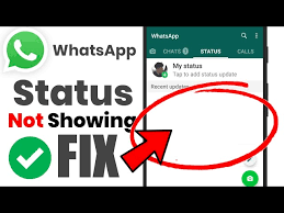 how to fix whatsapp status not showing