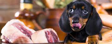 can dogs taste meaty food wag