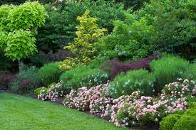 plant a garden for year round color