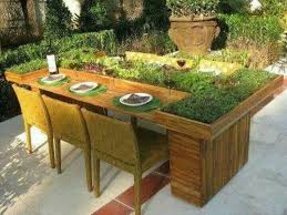 Planter Table With Herbs And Fruits