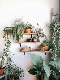 Plant Wall Shelves 5 Creative Ways To
