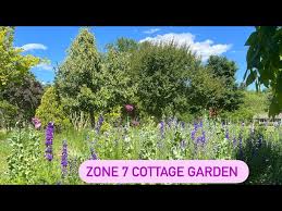 Zone 7 Cottage Gardening