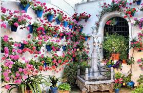 Best And Beautiful Small Garden Ideas