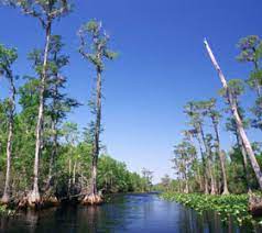 okefenokee national wildlife refuge in