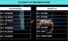6 day workout routine at home with pdf