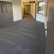 the 1 carpet cleaning in san jose