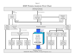 Ppt Emf Protein Analysis Flow Chart Powerpoint