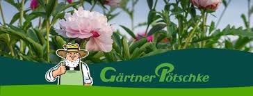 „der nachhall fällt auf uns zurück insolvenz von gartencenter „gärtner pötschke in willich. Gartner Potschke Publicaciones Facebook