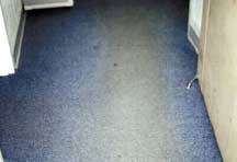 yellowing of carpet causes and cures