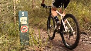 mountain biking at bunyaville brisbane