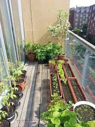 Balcony Container Vegetable Gardening