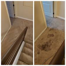 pet odor removal service in parker co