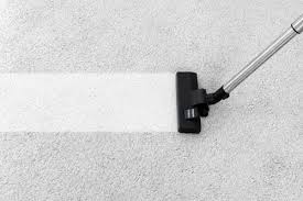 dry carpet cleaning remove dust mite