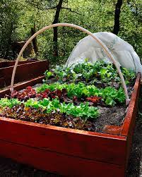 Raised Garden Boxes Curbstone Valley