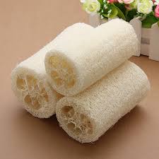 Image result for body scrubber